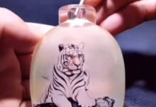 Фото - Тигры, нарисованные внутри бутылки, поражают воображение