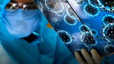 Фото - Ученые из Японии выяснили: коронавирус выживает  на коже до 9 часов