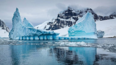 Фото - Учёные обнаружили во льдах Антарктики новый вид древних бактерий