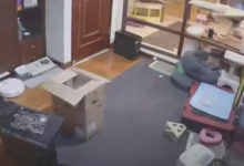 Фото - Установив дома камеру видеонаблюдения, хозяйка полюбовалась на злого голодного кота