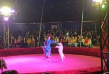 Фото - В Кузбассе цирк бесплатно выступил для детей из многодетных семей