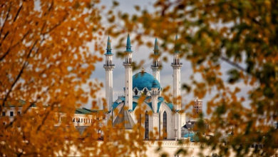 Фото - В какие из крупных городов этой осенью улететь дешевле всего