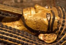 Фото - Внутри мумии обнаружили еду. Чем питались древние египтяне?
