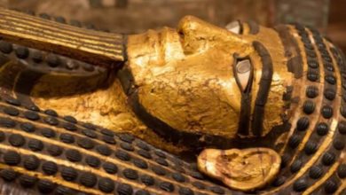 Фото - Внутри мумии обнаружили еду. Чем питались древние египтяне?