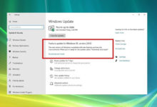 Фото - Запуск обновления Windows 10 October 2020 Update может состояться уже сегодня