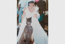 Фото - Женщина пригласила на свадьбу кенгуру и получила «лучшую в мире» фотографию