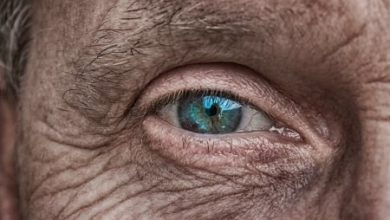 Фото - Неизлечимую болезнь мозга на ранней стадии можно выявить по глазам