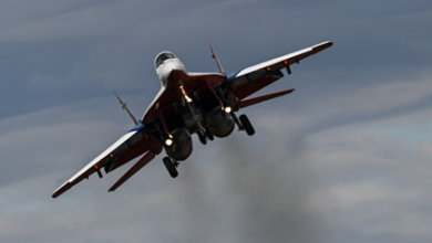 Фото - Американский пилот оценил боевые качества МиГ-29