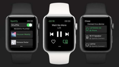Фото - Apple Watch теперь могут воспроизводить музыку в Spotify без подключения к iPhone