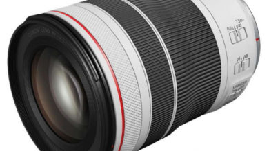 Фото - Canon, зум-объективы, портретные объективы, байонет RF, объектив 50 мм, RF 70–200mm F4L IS USM, RF 50mm F1.8 STM