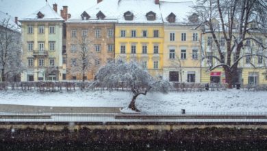 Фото - Цены на жильё в Словении во время пандемии растут. Стало известно, почему