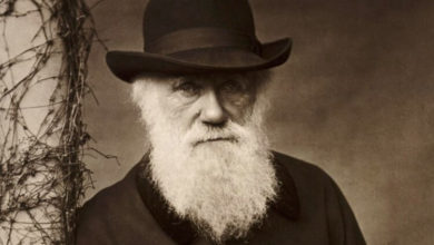 Фото - Что Чарлз Дарвин писал в своих записных книжках и где они хранятся?