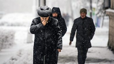 Фото - Доктор Мясников назвал опасность лекарств от насморка