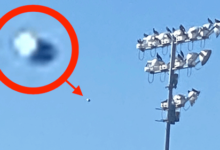 Фото - Экипаж НЛО не пожелал, чтобы их летательный аппарат снимали на видео