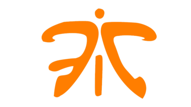 Фото - Fnatic анонсировала нового игрока третьей позиции по Dota 2