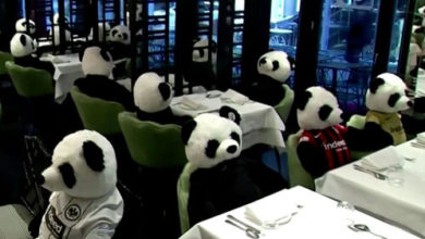 Фото - Игрушечные панды помогли ресторатору устроить тихий протест