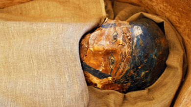 Фото - Найденным 400 лет назад мумиям провели компьютерную томографию: История
