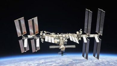 Фото - Названа возможная дата отправки туристов на МКС