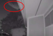 Фото - НЛО попытался замаскироваться, но всё равно был снят камерой видеонаблюдения