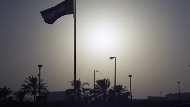 Фото - ОАЭ заявили об увеличении своих запасов нефти на 20 процентов