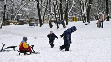 Фото - Россиянам упростят получение детских выплат