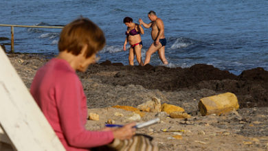 Фото - Россиянин рассказал о неприятностях во время отдыха на популярном курорте Крыма