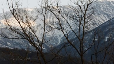 Фото - Российский фотограф погиб в Чечне: Пресса