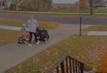 Фото - Ситуация с тремя детьми «на колёсах» едва не вышла из-под контроля