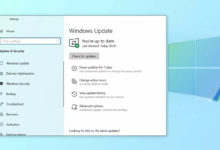 Фото - Следующее крупное обновление Windows 10 скоро станет доступно инсайдерам