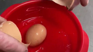 Фото - Внутри крупного яйца обнаружился необычный сюрприз