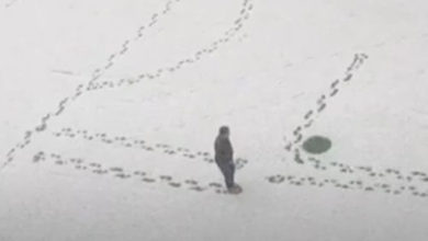 Фото - Выпавший снег помог учителю физики в преподавательской работе