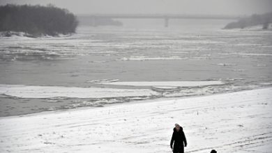 Фото - Зафиксирована гибель детей от глобального потепления