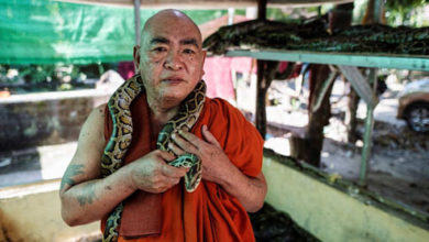 Фото - Буддийский монах создал приют для змей