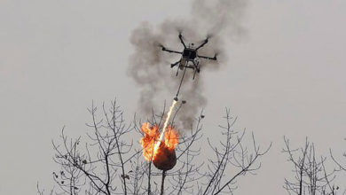 Фото - Дроны превратились в летающие огнемёты ради борьбы с осами