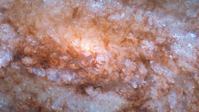 Фото - Фото дня: «Хаббл» запечатлел кузницу новых звёзд