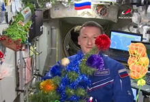 Фото - Космонавты на МКС остались без новогодних подарков