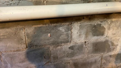 Фото - Кукольная голова в подвале напугала домовладелицу