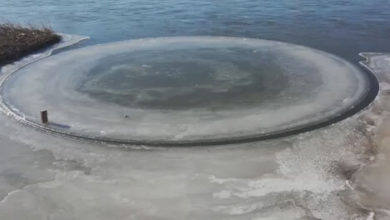 Фото - Ледяной диск на реке дал возможность селянам немного подзаработать