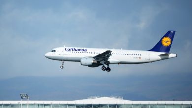 Фото - Lufthansa полетит из Пулково во Франкфурт-на-Майне