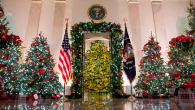 Фото - Мелания Трамп «поразительно нормально» украсила Белый дом к Рождеству: Офис