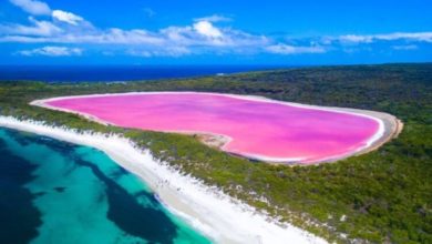 Фото - Почему озеро Хиллиер окрашено в розовый цвет?