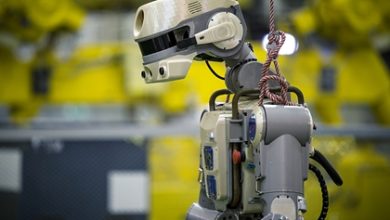 Фото - Появилась версия о роли робота «Федора» в появлении новой трещины на МКС