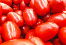 Фото - Россия частично запретила ввоз томатов и перцев из Армении