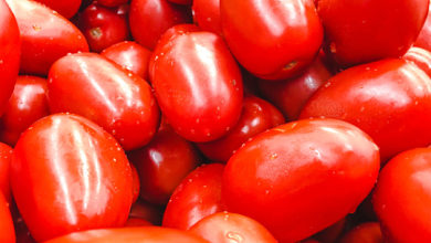 Фото - Россия частично запретила ввоз томатов и перцев из Армении