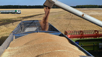 Фото - Россия обвалила мировые цены на пшеницу