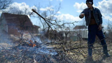 Фото - Россиянам запретят сжигать мусор и разводить костры на участках