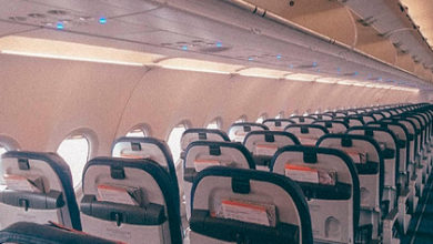 Фото - Российская стюардесса назвала огорчающие бортпроводниц поступки пассажиров