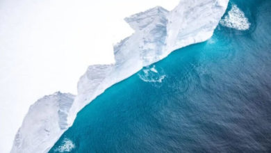 Фото - Самый большой в мире айсберг начал разрушаться