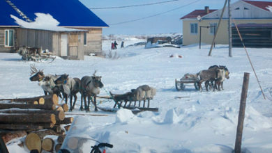 Фото - Шведский журналист побывал в российской Арктике и разочаровался