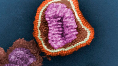 Фото - Создана первая в мире вакцина против всех вирусов гриппа